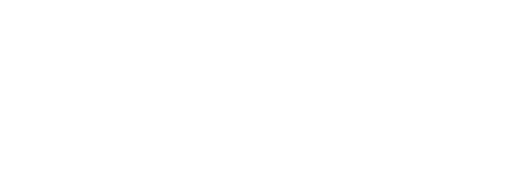 Dutch Air